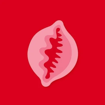 Cowrie Collective profile