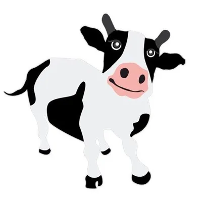 Cowvathi profile