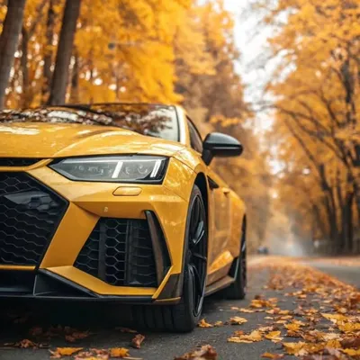 Crazy Car Reel profile