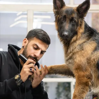 تاتو ، طراحی تتو ، آموزش تاتو | آرتیست profile