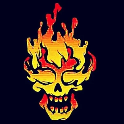Crazy Roaster 43 profile
