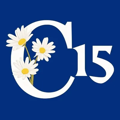 creative capturer15 profile