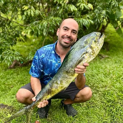 Jesse Rodriguez profile