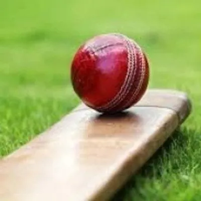 Anurag.cricket. profile