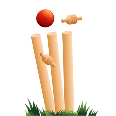 Cricktube profile