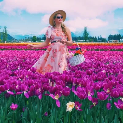 fashion | travel | nature profile