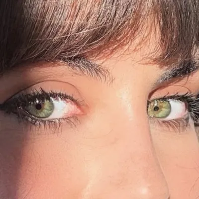 CRISTINA SAVULESCU BUDEANU profile