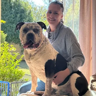 Danae Rennie - Critical Mass Bullyz ® profile