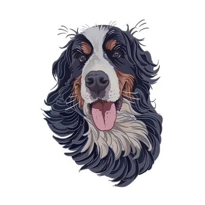 Crixus BMD profile