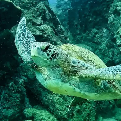 Crónicas del agua profile