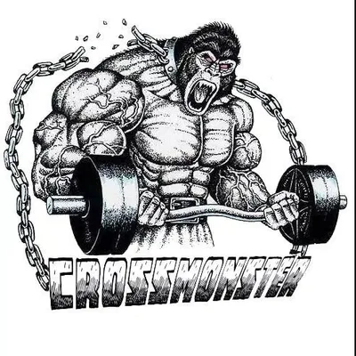 Cross monster centro de treinamento profile