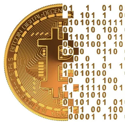 crypto lover profile