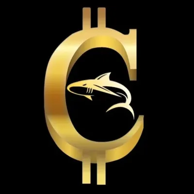 SOL ONDO RENDER and Poopcoins profile