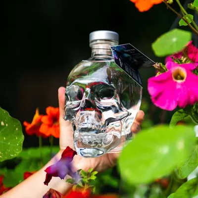Crystal Head Vodka profile
