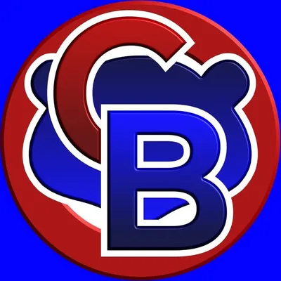 Cubs Bleed Blue profile