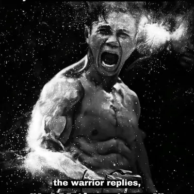 Cung Le profile
