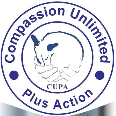 CUPA India profile