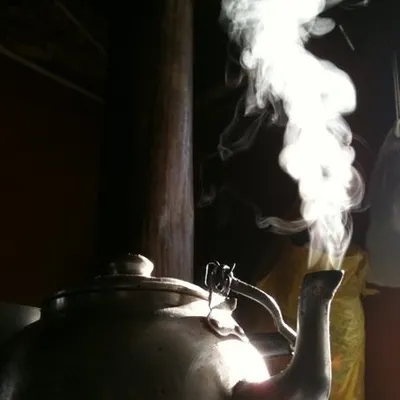 Carmen Arnander profile