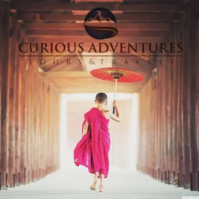 Curious Adventure profile