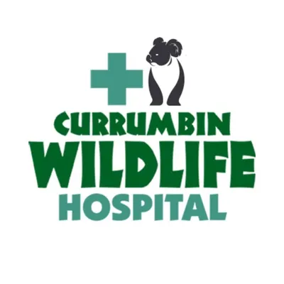 Currumbin Wildlife Hospital profile
