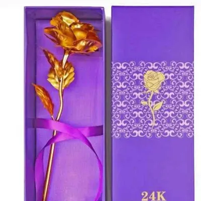 Custom Store India profile