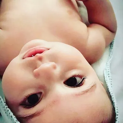 Cute Babies profile