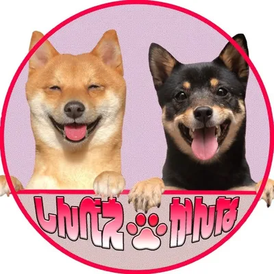 しんべえ&かんな profile