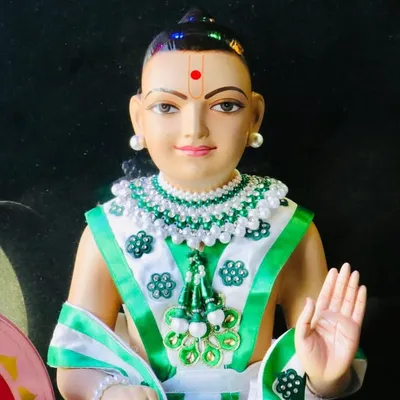 Shree swaminarayan bhagwan😇👑 profile
