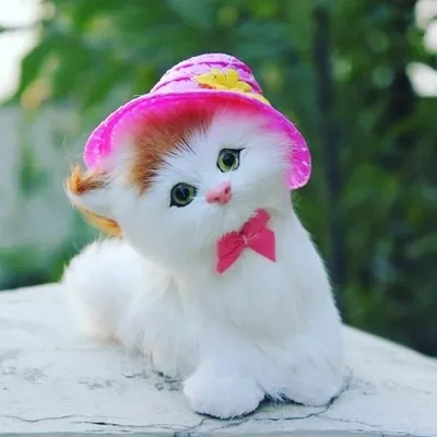 cutekitty_444 profile