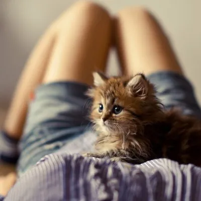 Cuties&Cash profile