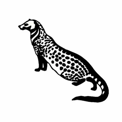 Centre for Wildlife Studies profile