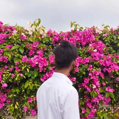 sᥡᥴ𝗍һᥱ | MOHIT profile