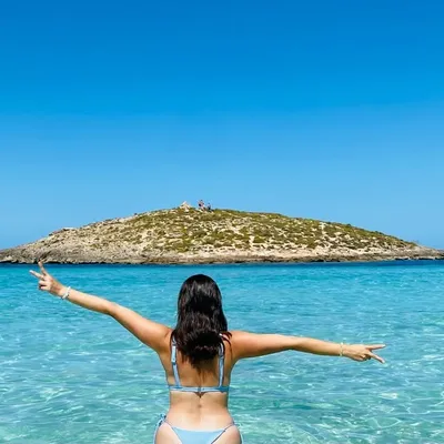 Cynthia Fuertes profile