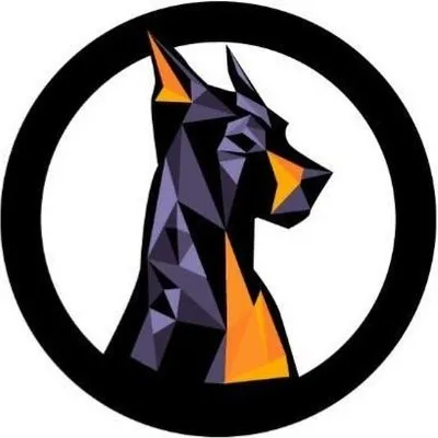 D&O Motorsports profile
