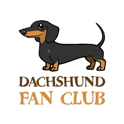 Dachshund Fan club profile