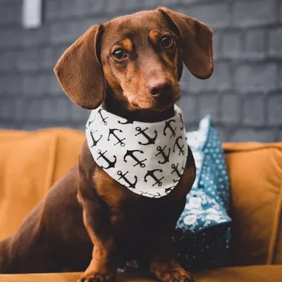 Winston profile