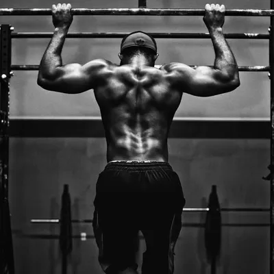 Daily Gym Motivation profile