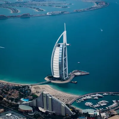 Daily UAE profile