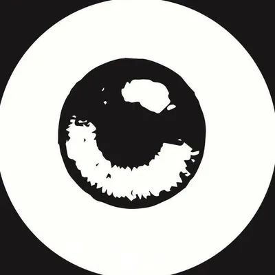 Dailycid Ltd. profile