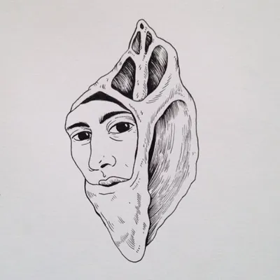 dailydoodlegram profile