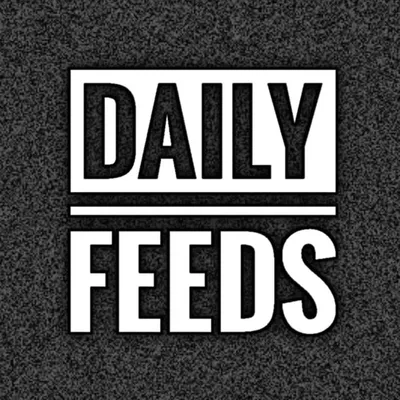 ⏲️Daily Feeds📝 profile
