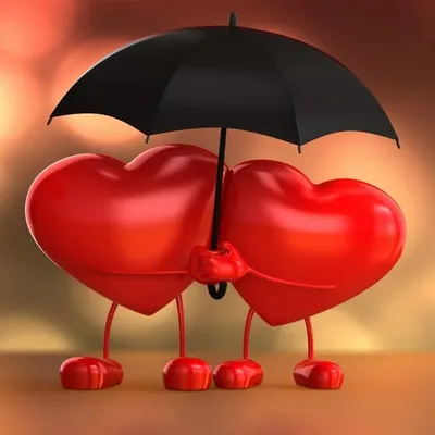 Daily Love Guidance ❤️ profile