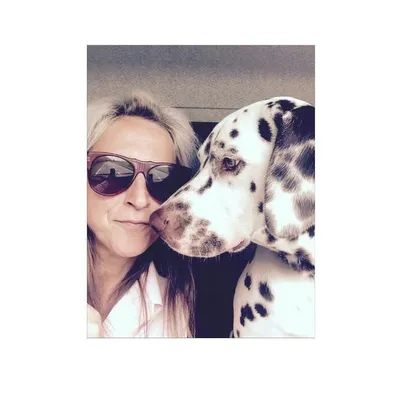 dalmatiner sammy~26.07.2015 profile