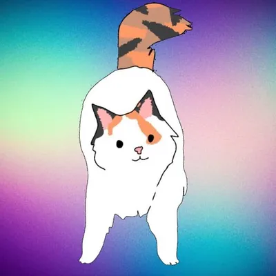 In loving memory of 🕊️ 🪩Disco🪩 profile