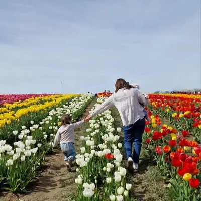 Daniela Santiago profile