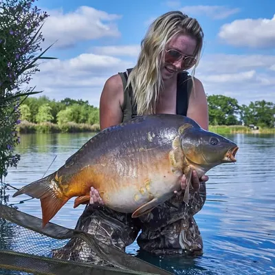 Danielle Sutton profile