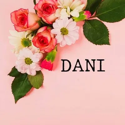 Dani Puridade profile