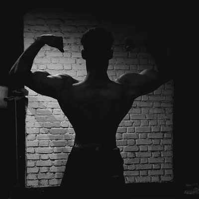 DANISH__5x profile