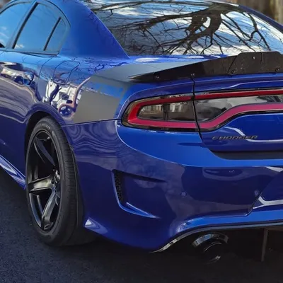 daytona392dyt profile