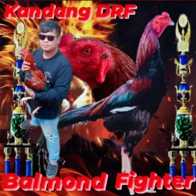 Dany Rooster profile